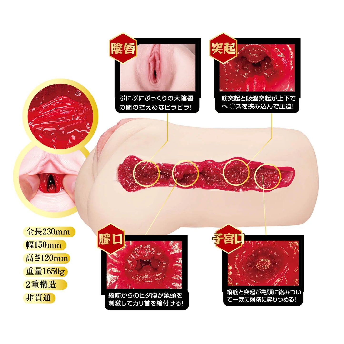 NPG 名器の証明 No.014 小宵虎南 電動版