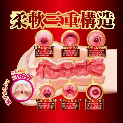 NPG(日本) 榮譽之名器 橋本有菜 自慰杯