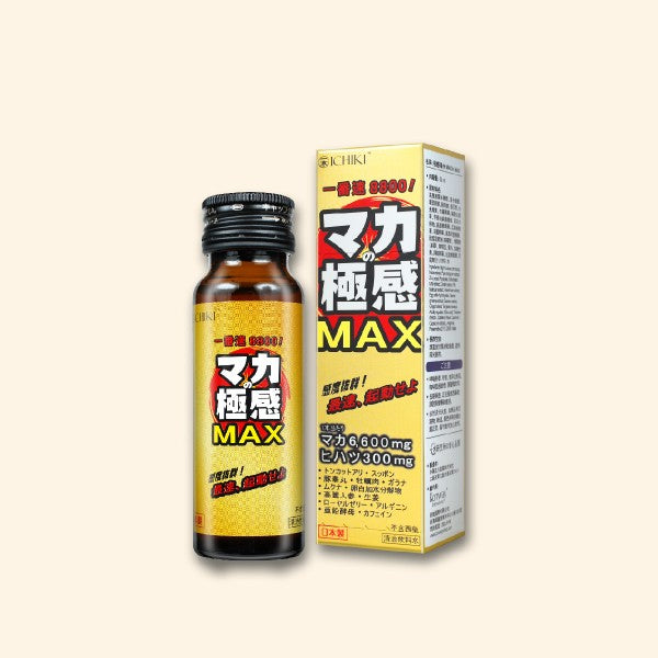 ICHIKI 極感MAX