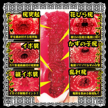 NPG(日本)美人女僕 相澤南(相沢みなみ)立即插入 飛機杯