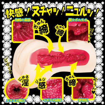 NPG(日本)美人女僕 樞木葵(枢木あおい)立即插入飛機杯