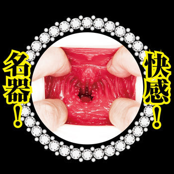 NPG(日本)美人女僕 樞木葵(枢木あおい)立即插入飛機杯