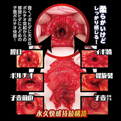 NPG(日本) 淫亂保健室 保健醫生 自慰杯