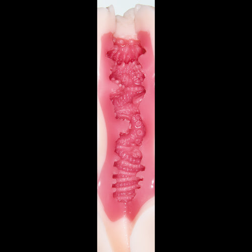 NPG(日本) 名器之証明011-高橋しょう子 (高橋聖子) 自慰杯