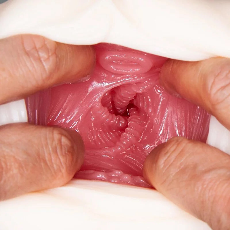 NPG美若妻證明 － 水野朝陽名器