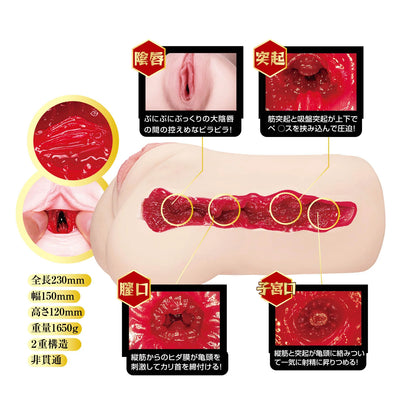 NPG 名器の証明 No.014 小宵虎南 電動版