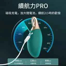 Erocome Vela 船帆座 神秘吊墜跳蛋