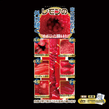 JNPG 名器創生2代 田中檸檬 1.3kg 重磅電動飛機杯 (吸引・震動・加熱)