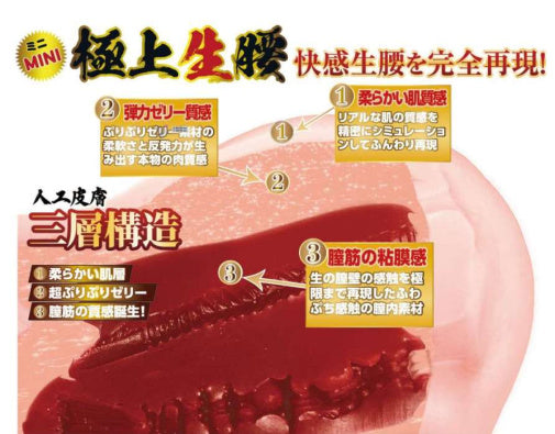 NPG
森日向子 極上生腰 臀部自慰器 2公斤