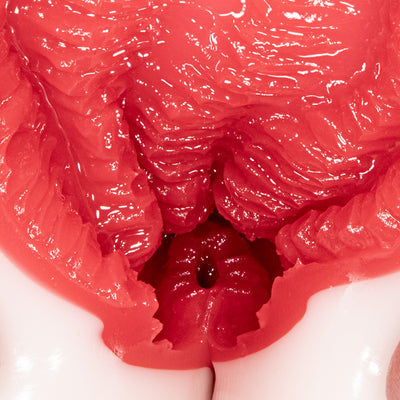 NPG(日本) 名器覺醒 新井里真 (新井リマ) 自慰杯