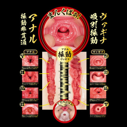 NPG(日本) 吸吮扭動 生腰名器 北野未奈 電動飛機杯